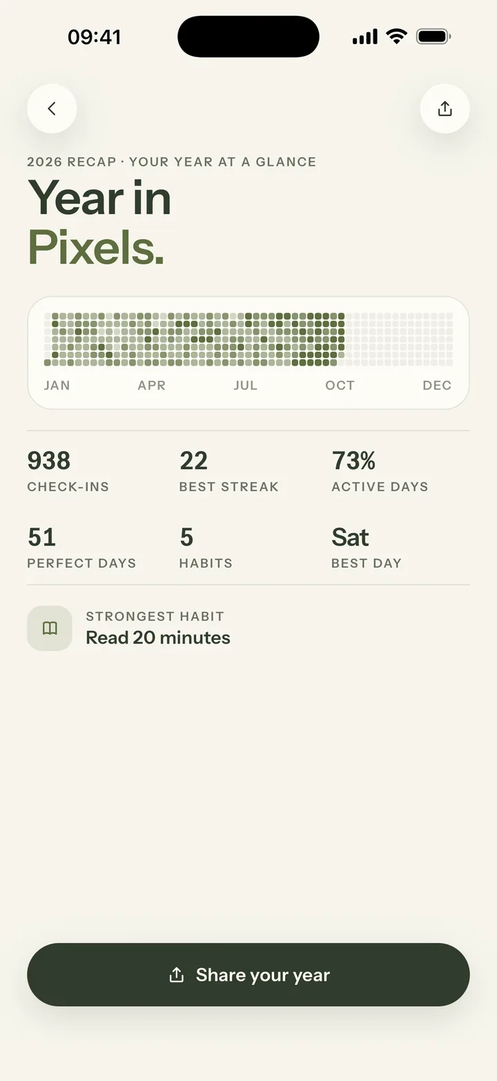 Year in Pixels recap: 938 check-ins, best streak 22 days, 51 perfect days
